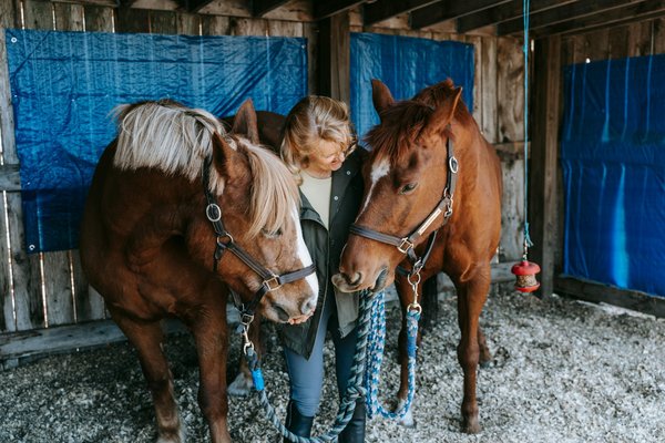 Soins chevaux naturels : votre guide vers le bien-être équin